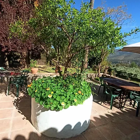 Oasis De Frescura En Verano Villa