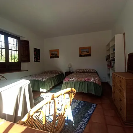Oasis De Frescura En Verano Granada