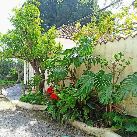 Villa Oasis De Frescura En Verano Granada